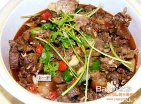 吃狗肉有什么好處